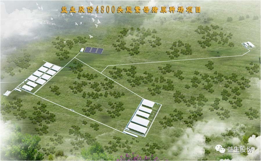 【喜訊】黑龍江益生種豬繁育有限公司原種豬場(chǎng)建設(shè)項(xiàng)目開工